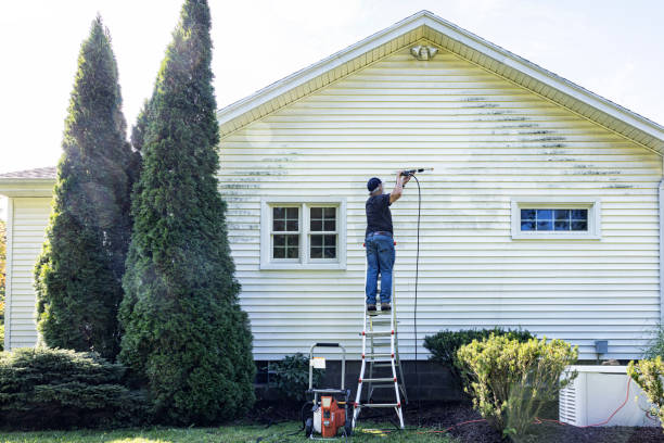 Best Dumpster Area Cleaning  in Roslyn Estates, NY